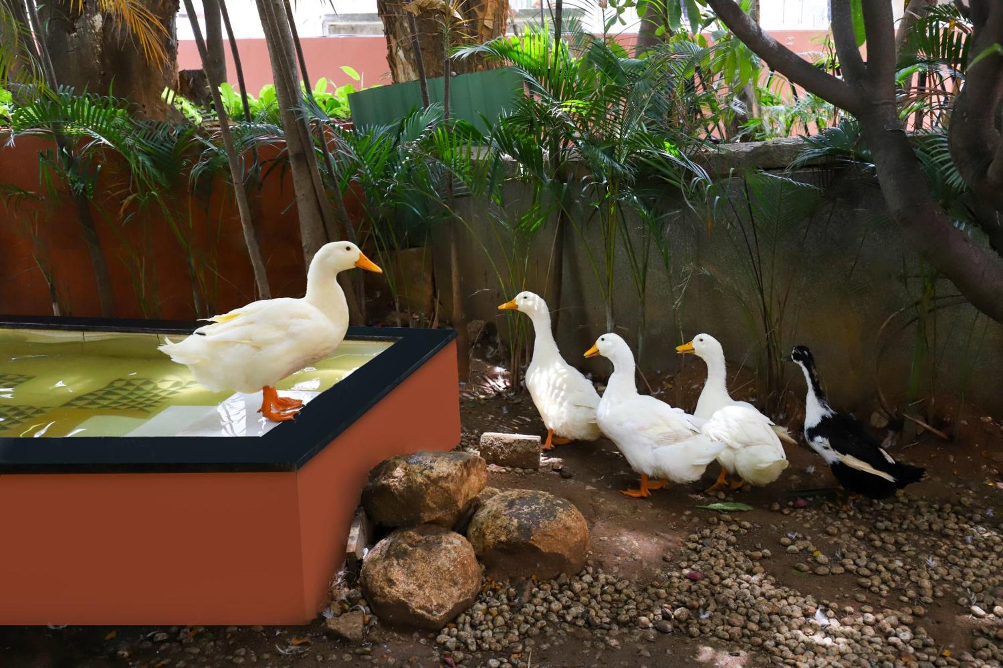 Lemon Tree Suites, Whitefield, Bengaluru Bagian luar foto