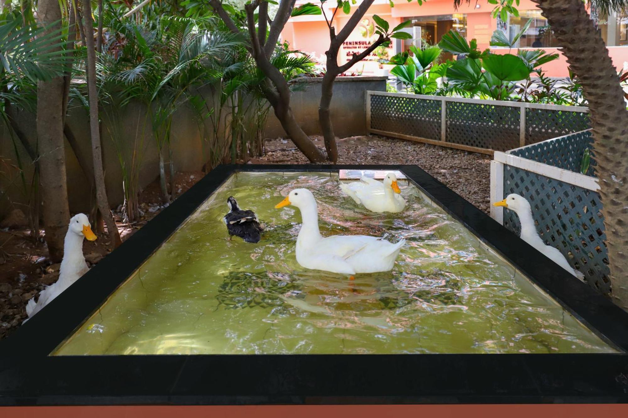Lemon Tree Suites, Whitefield, Bengaluru Bagian luar foto